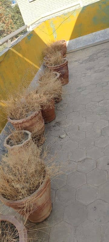 POTS SELL REASONABLE PRICE BIG SIZE BEAUTIFY YOUR HOME GARDEN 1