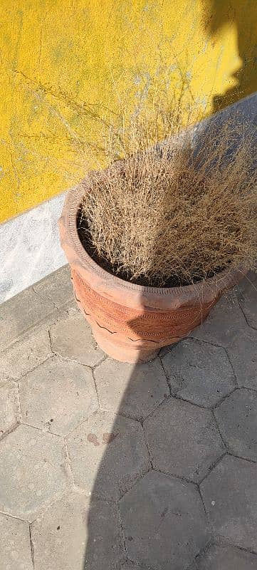 POTS SELL REASONABLE PRICE BIG SIZE BEAUTIFY YOUR HOME GARDEN 2