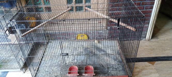 Cage for Cockatiels, Doves, Hens