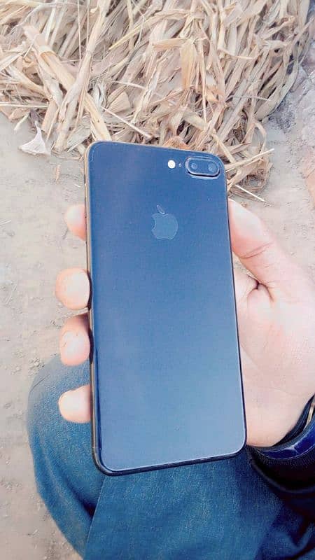 7plus  PTA proved ha 3