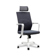 Aqua Mesh High Back AND WHITE Revolving Chair