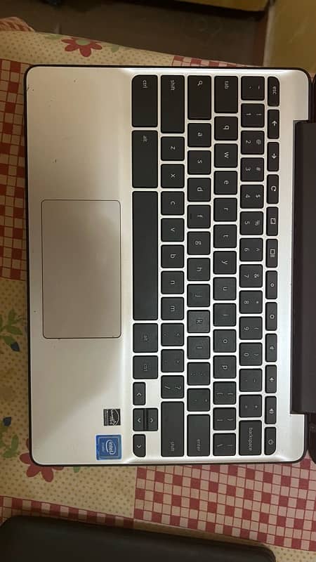 Hp Chrome books 5