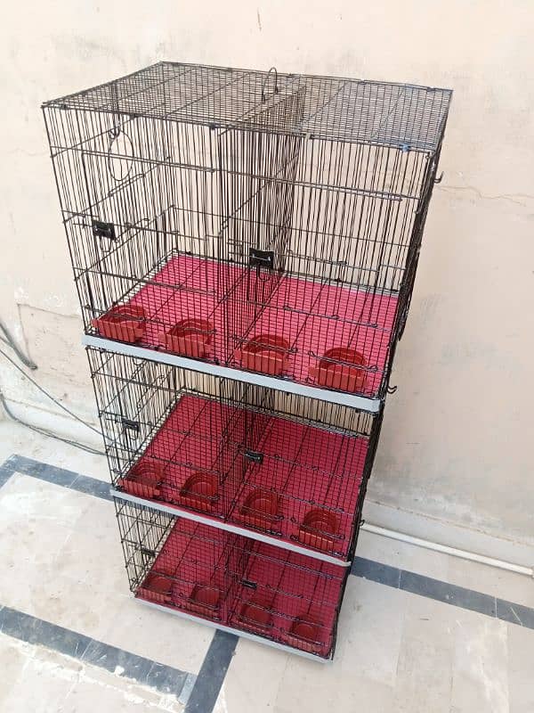 folding cage 6