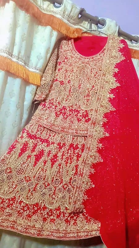 Bridal dress/ Party wear/ Formal dress/Bridal lehnga/Wedding dresses 0