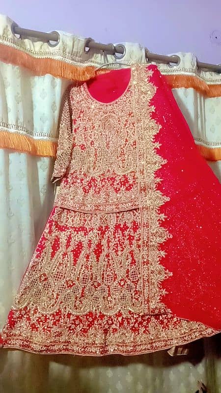 Bridal dress/ Party wear/ Formal dress/Bridal lehnga/Wedding dresses 1