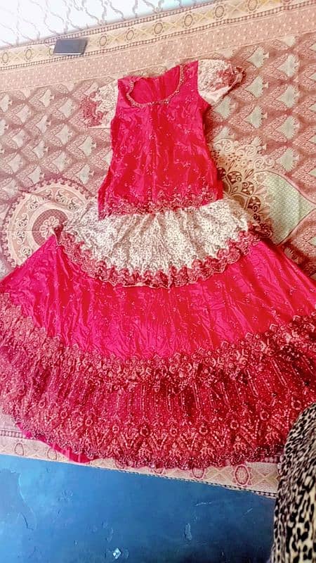 Bridal dress/ Party wear/ Formal dress/Bridal lehnga/Wedding dresses 4