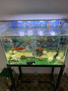 I want to sale my fish aquarium