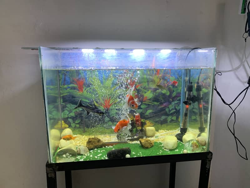 I want to sale my fish aquarium 1