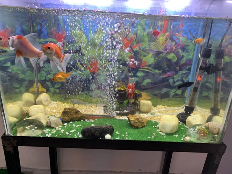 I want to sale my fish aquarium 2