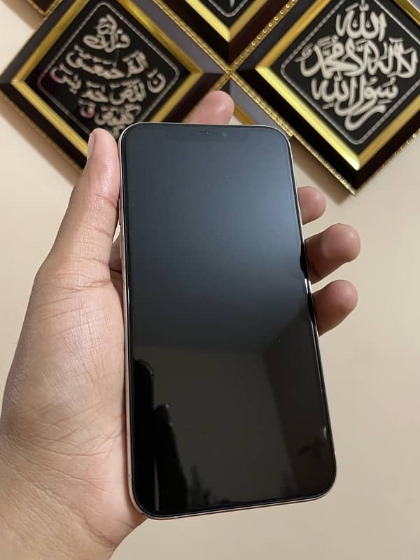 iphone 11 Pro(Water-pack) 3