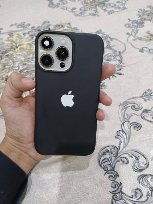 iphone XR convert to 13 pro 1