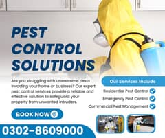 Pest control, deemak control service near me, spray fumigation,Termite