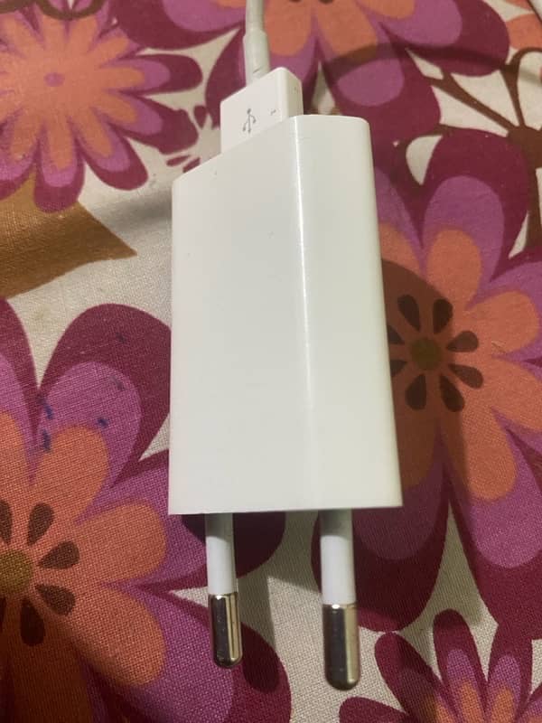 iPhone XS Max official charger 1