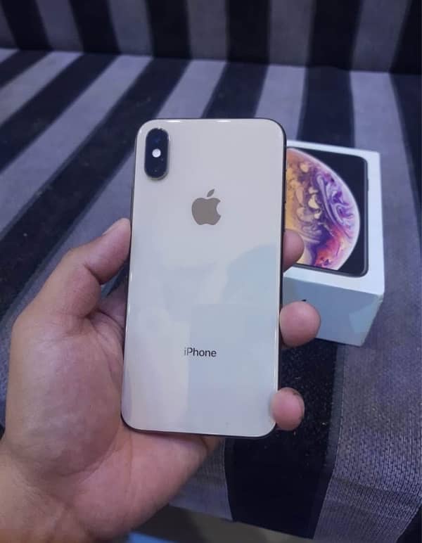 iPhone  xs dual pta  with box 0