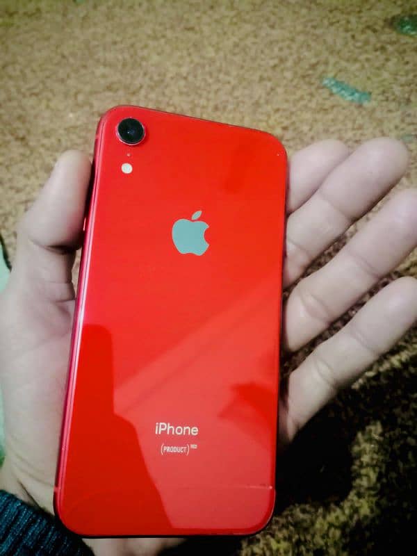 iPhone XR non pta 64 gb 3