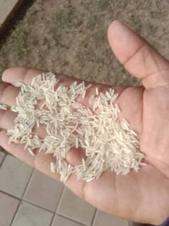 Super Karnal Basmati Rice