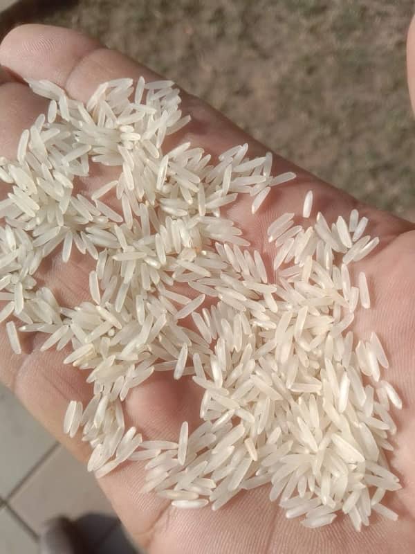 Super Karnal Basmati Rice 1