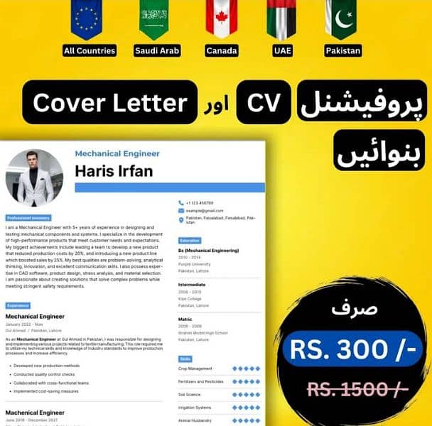 Professional Cv in 2 Hours 1