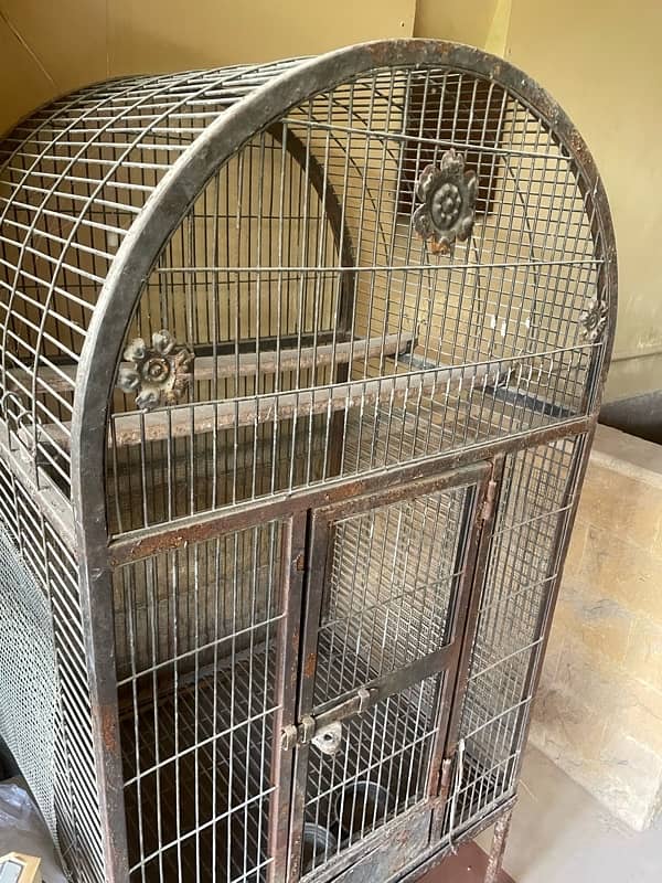 Bird Cage 2