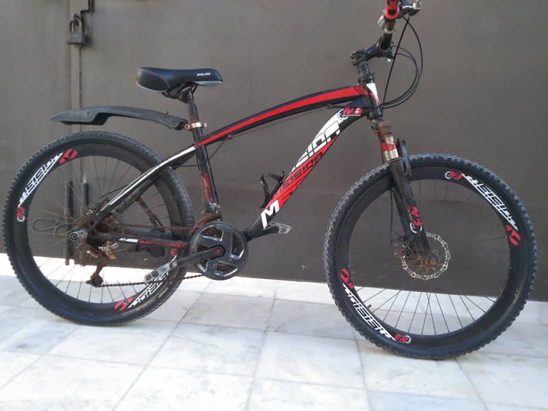 Mesida Morgan mountain bike 3