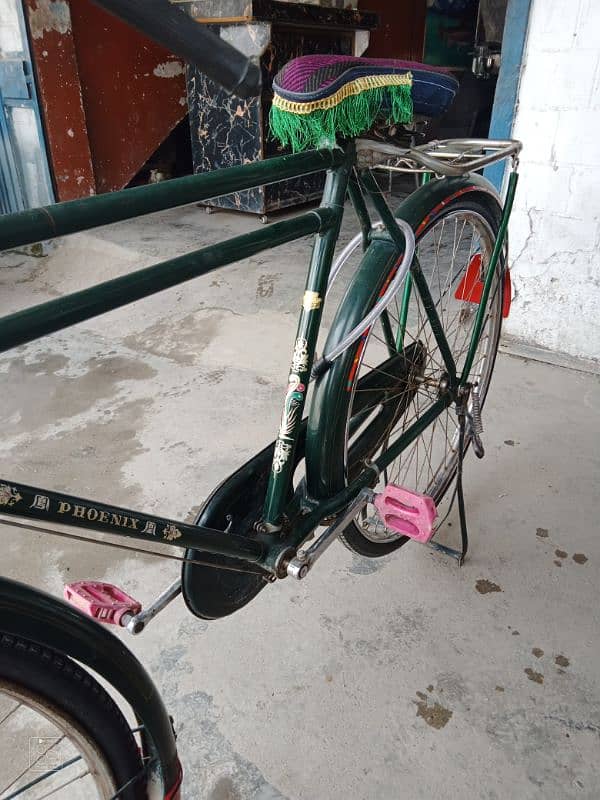 china cycle for sale 2