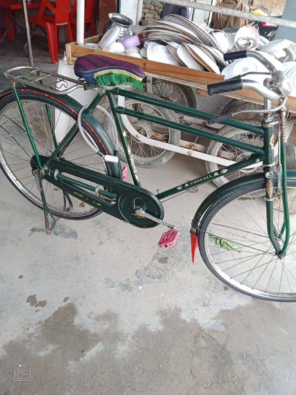 china cycle for sale 6