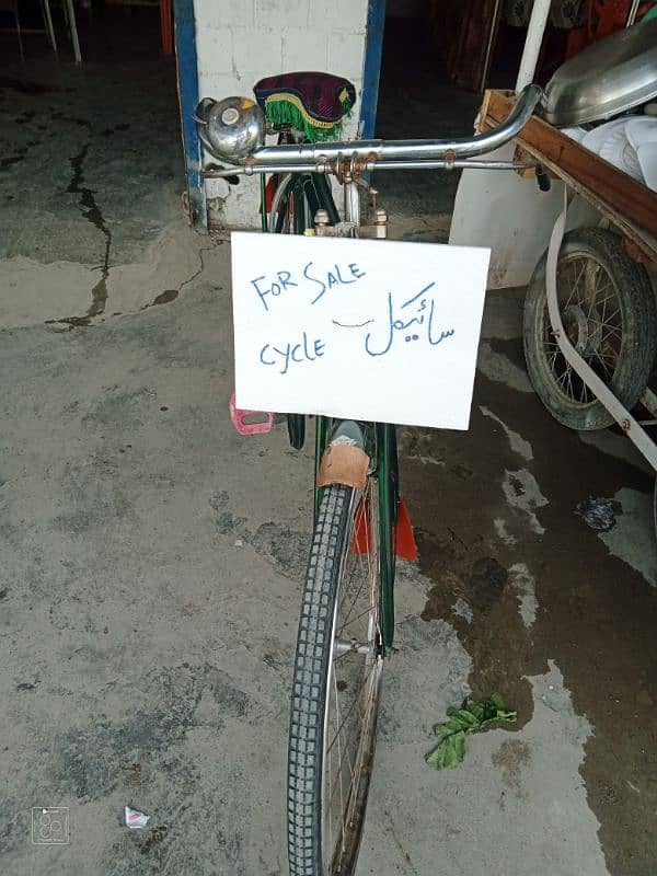 china cycle for sale 8