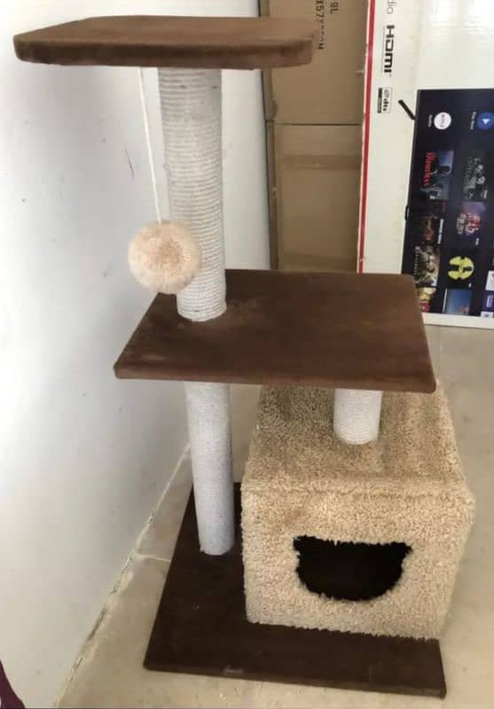 cat house triple highted 0