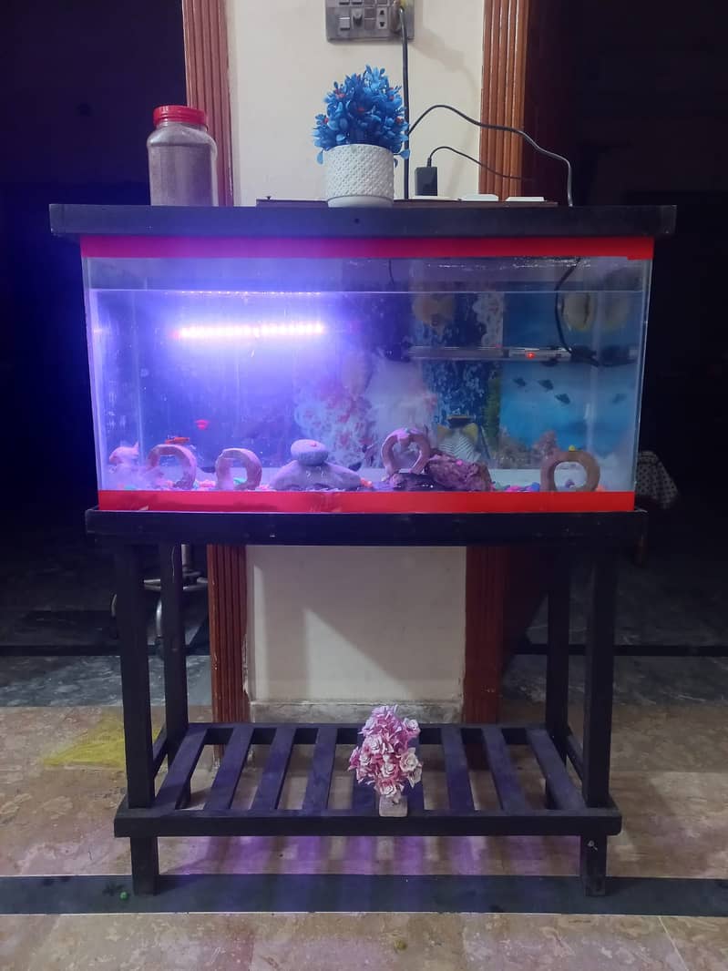 fish aquarium | fish box | glass aquarium 8