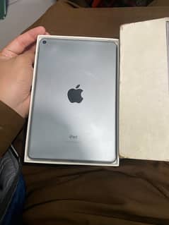 iPad mini 5