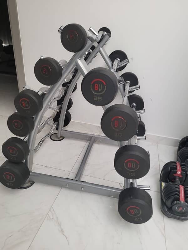 Dumbells and barbells 0