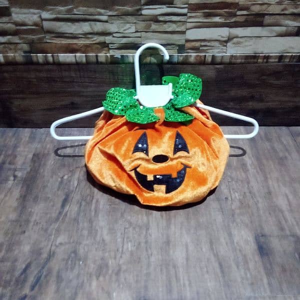 cat and small breed dog pumpkin costumes 1