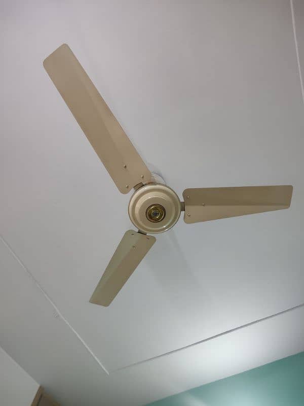 3 ceiling fans 3