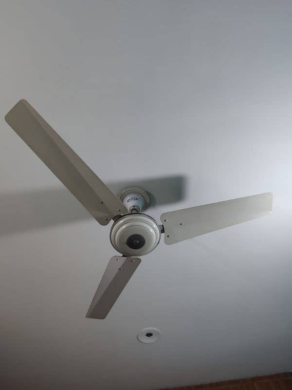 3 ceiling fans 4