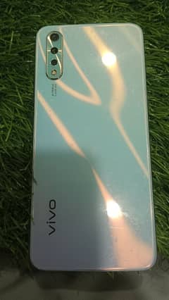 vivo