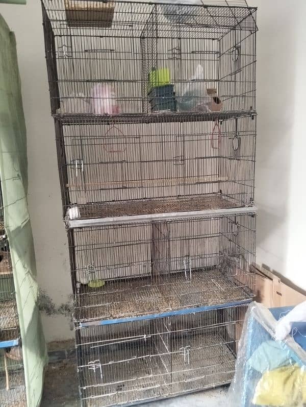 Different bird's pairs and single pieces and 4 portion cage 2