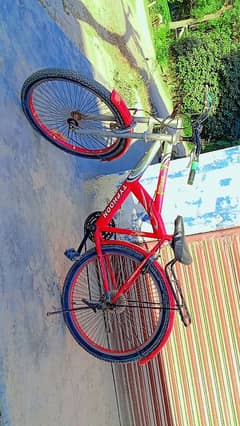 Cycle for sale