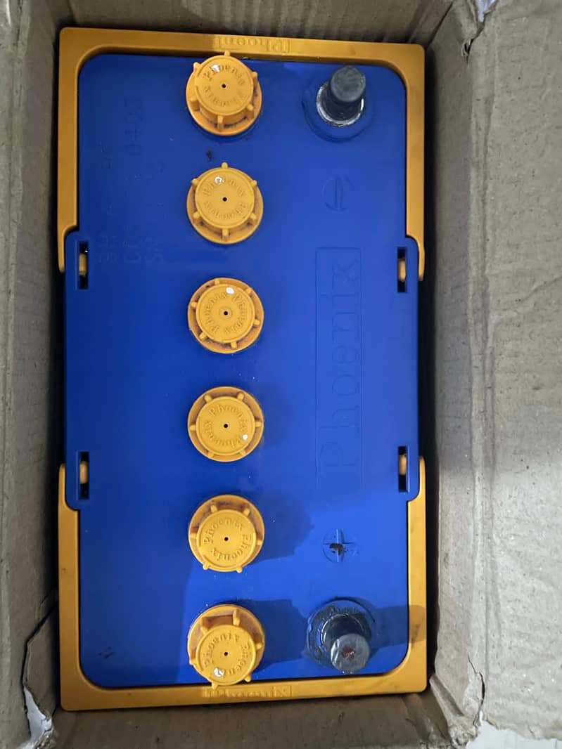 12V 100Amp 2 no. Pheonix batteries for sell 2