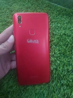 Vivo