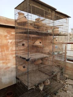 bird cages / cages for sale/cage/iron cage/love bird/pinjra/colony