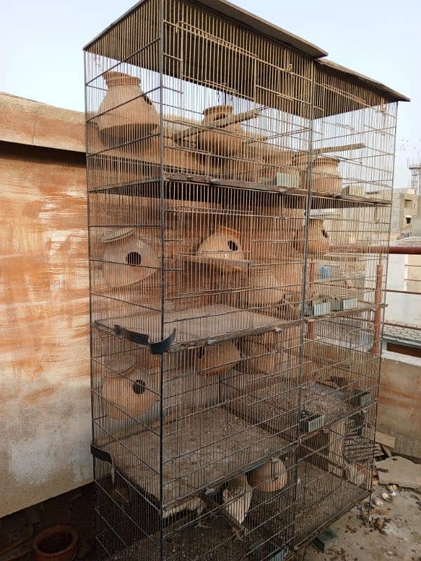 bird cages / cages for sale/cage/iron cage/love bird/pinjra/colony 0