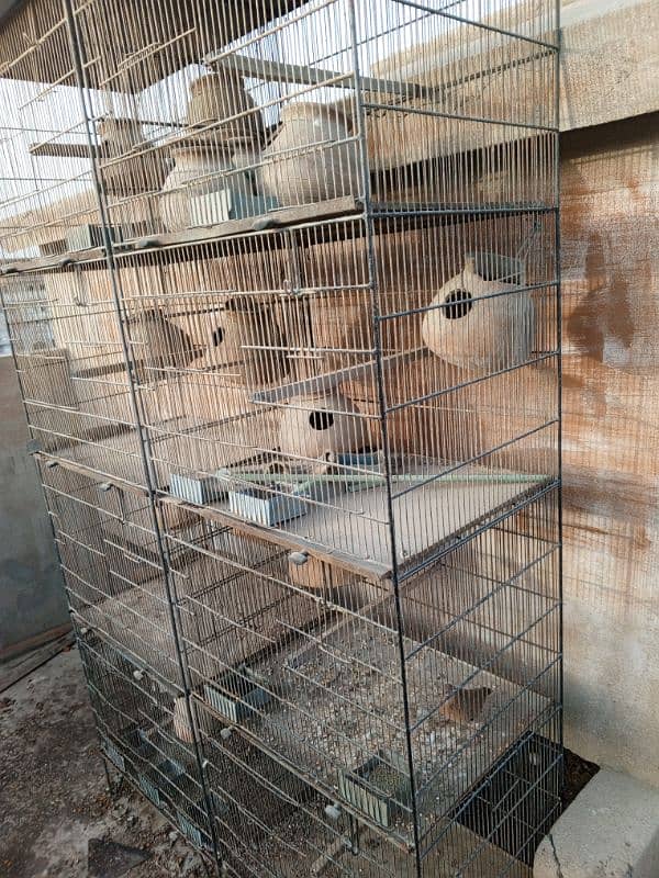 bird cages / cages for sale/cage/iron cage/love bird/pinjra/colony 1