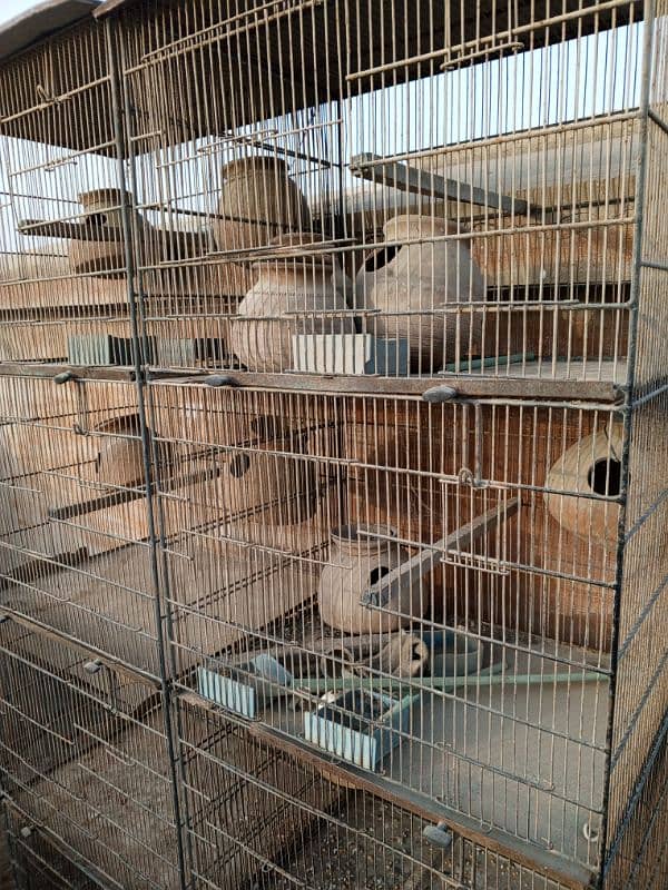 bird cages / cages for sale/cage/iron cage/love bird/pinjra/colony 2