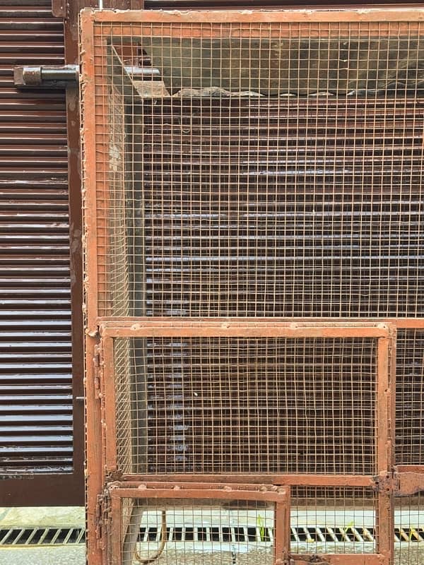 parriot cage 4x3 4