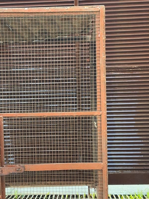 parriot cage 4x3 6