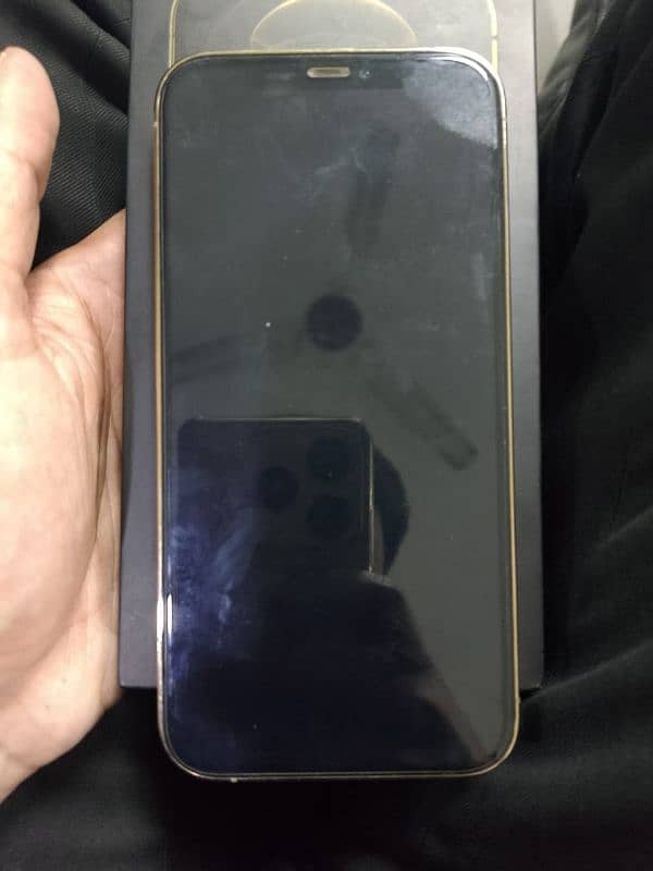 Iphone 12 Pro (256 GB Lush Condition) 2