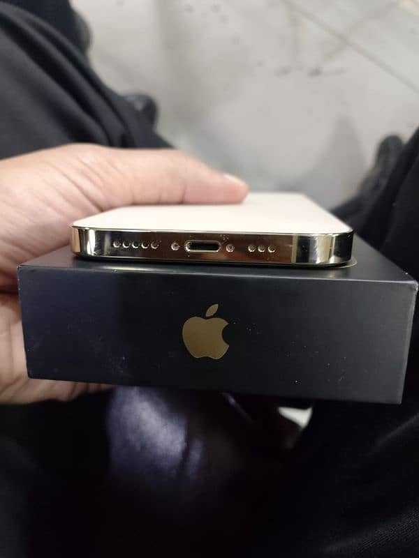 Iphone 12 Pro (256 GB Lush Condition) 4