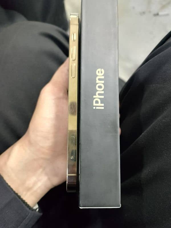 Iphone 12 Pro (256 GB Lush Condition) 6