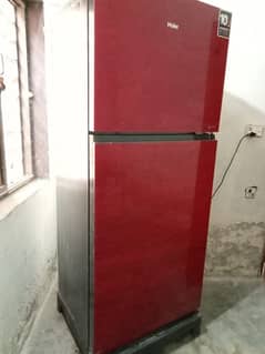 large size refrigerator Haier company