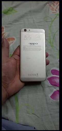 oppo